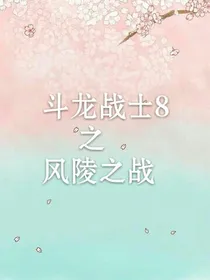 斗龙战士之风陵之战