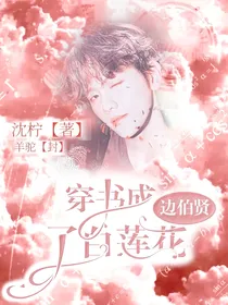 边伯贤：穿书成了白莲花
