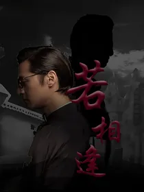 伪装者：若相逢