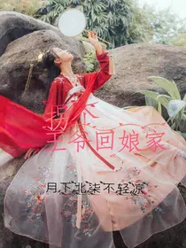 拐个王爷回娘家