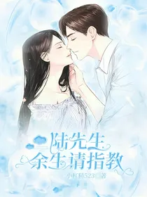 陆先生，余生请指教