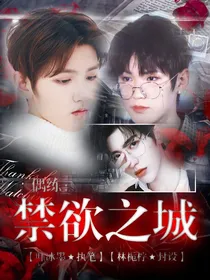 偶练：禁域之城