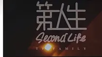 第二人生之调皮弟弟