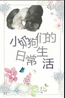 小奶狗们的日常生活