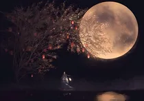落白归末之缘分