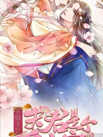 贪财王妃：夫君是个暖宝宝