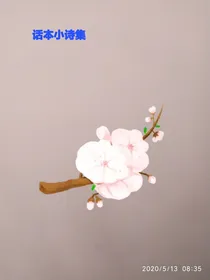 话本诗集