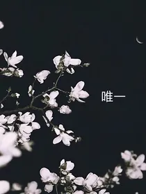 他是唯一