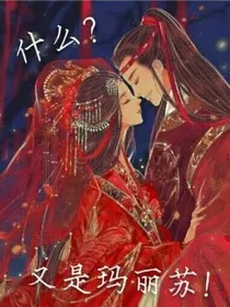 什么？又是玛丽苏