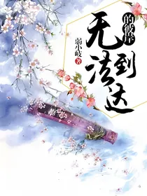 无法到达的彼岸