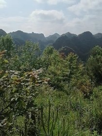 回乡当个小老板