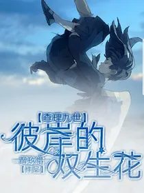 查理九世之彼岸的双生花