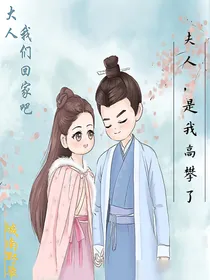 锦衣之下2：夫人，是我高攀了