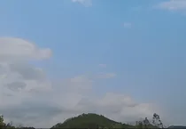 竞放：有几分甜