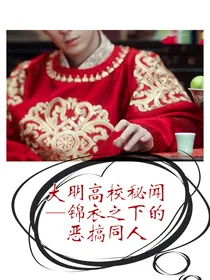 大明高校秘闻