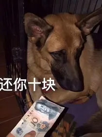 末世重生之，二狗子你变了