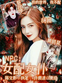 NPC：女配女仆