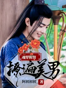 魂穿陈情：撩遍美男