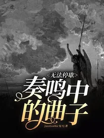 奏鸣中的曲子，无法停歇
