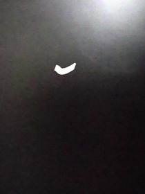叶罗丽之彼岸花的复仇