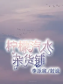 柠檬汽水杂货铺-d340