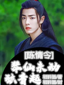 陈情令：琴仙未动弦音起-d431