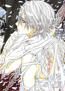 阴阳师之魔尊独宠