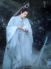 陈情令之清风糜月