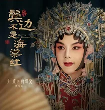鬓边不是海棠红（改编版）