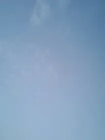 赤土豆饼