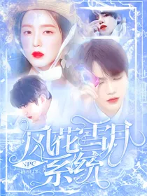 NPC：风花雪月系统