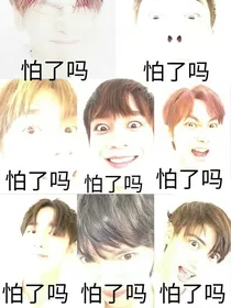 R1SE：别追我了