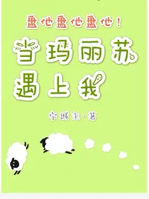 当玛丽苏遇上我