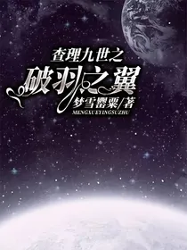 查理九世之破羽之翼