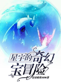 星宇的奇幻宝可梦冒险