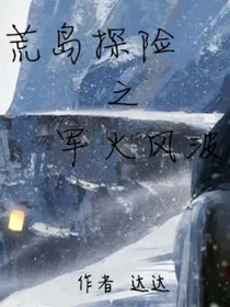 荒岛探险之军火风波