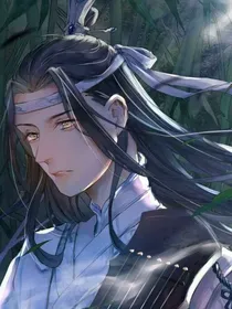 蓝湛不知花城