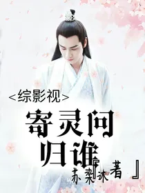 综影视：寄灵问归谁