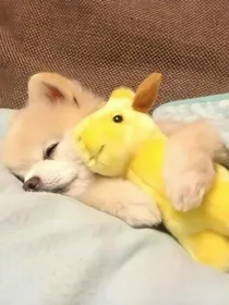话本头像墙