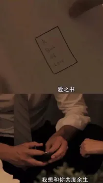 小菊爱头像