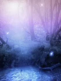 镜中幻世——净灵之地