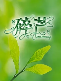 碎芒封面铺