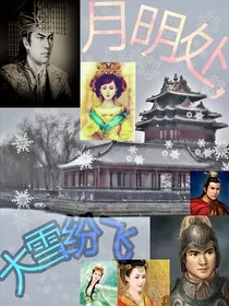 月明处，大雪纷飞
