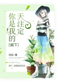 阁下，你是我的天注定