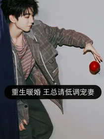 重生暖婚王总请低调宠妻