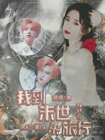 npc：我到末世来旅行