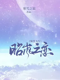 昭岚之恋（爆裂飞车）