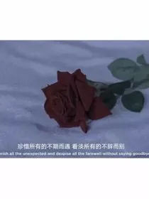 重生之美男在怀