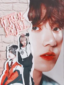 BTS：忙内！是空降