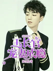 盛世甜宠：王长官宠妻成瘾